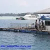 pulau sepa