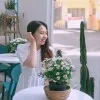 Linh Vu Tran