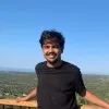 Avi Alok