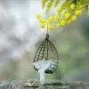 Hafsa Tayyab