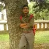 gohil thakur