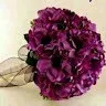 vijay naga