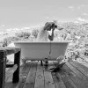 Lucas Bori
