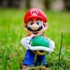 Job Link