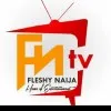 Fleshynaija fleshynaija