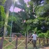 Pratik Tale