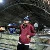 Parikesit