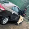 Balu Prathap