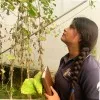Kanika senwal