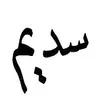 Sadeem Albadr