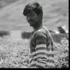 Shreedhar KV