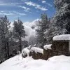 USMAN AFRIDI