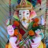 Dhankumar Yadav