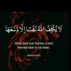 Zaynab Rashid