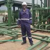 Omoyatama Inegbedion