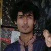 salman fursi