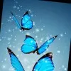 Ananthi