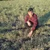 ashok dabhi