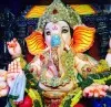 vasu dev