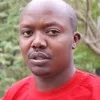 Collins Areba