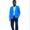 Adekunle Adesuyi