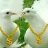 Md Shamsuddien