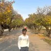 Akansh Srivastava