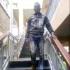 Saed Salad