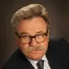 Otto Foltin