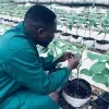 Francis Tetteh