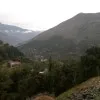 Rizwan ullah