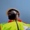 Anzani Mphadi
