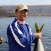David Park