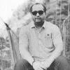 Darshit Trivedi