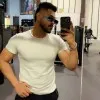 Rajat Sikhwal