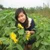 Mai Pham