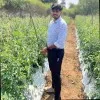 Ugrasen Singh