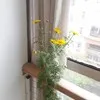 Rainy