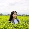 An Binh