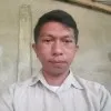 Robin Robin