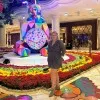 Heidi Clifton
