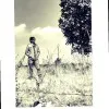 Satish Kumar