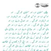 Ainee Umer