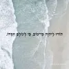 Yam Kohen