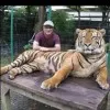 Amit