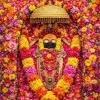 PREM KUMAR
