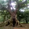Mrutyunjay Mohanty