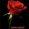 Vasanth Kumar DS