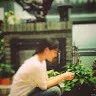 Gu Simeng