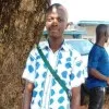 Franklin senesie